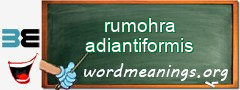 WordMeaning blackboard for rumohra adiantiformis